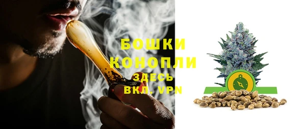 дурь Белоозёрский