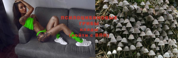 jwh Белокуриха